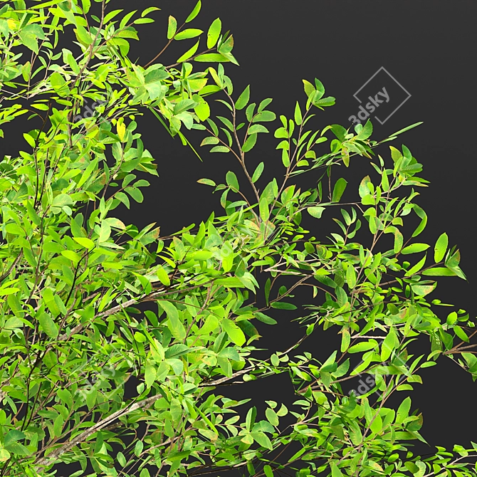 Volume 30 Low Poly Bushes 3D model image 4