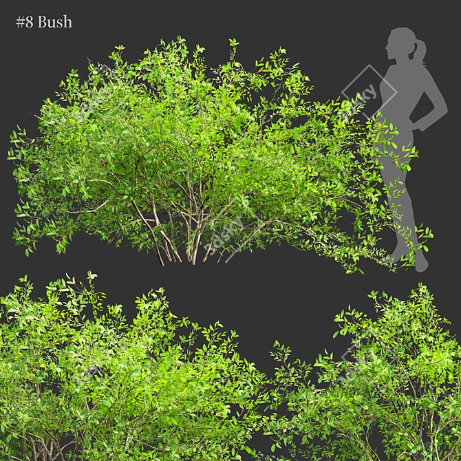 Volume 30 Low Poly Bushes 3D model image 6