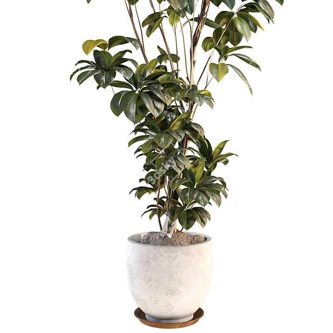 Luxury 3D Plant Collection Bundle 3D model image 4