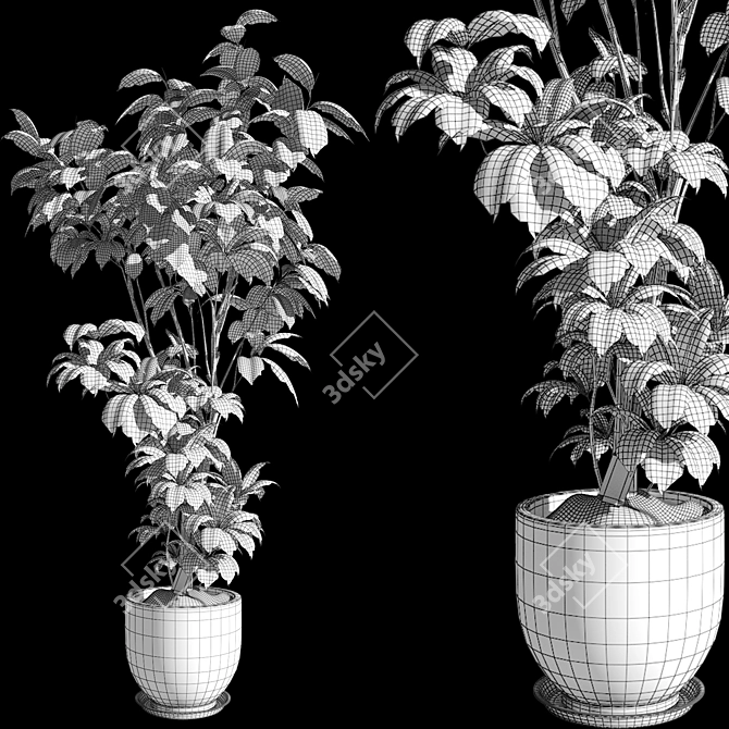 Luxury 3D Plant Collection Bundle 3D model image 6