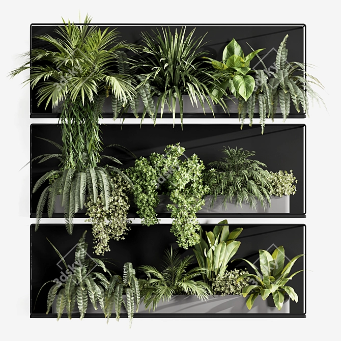 Premium Indoor Hanging Plant Set 3D model image 1