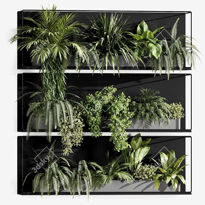 Premium Indoor Hanging Plant Set 3D model image 2