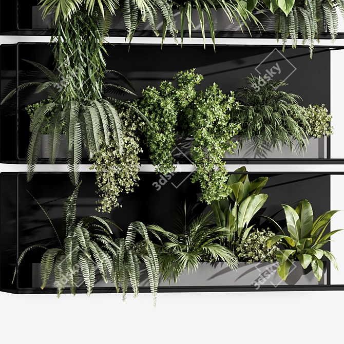Premium Indoor Hanging Plant Set 3D model image 3