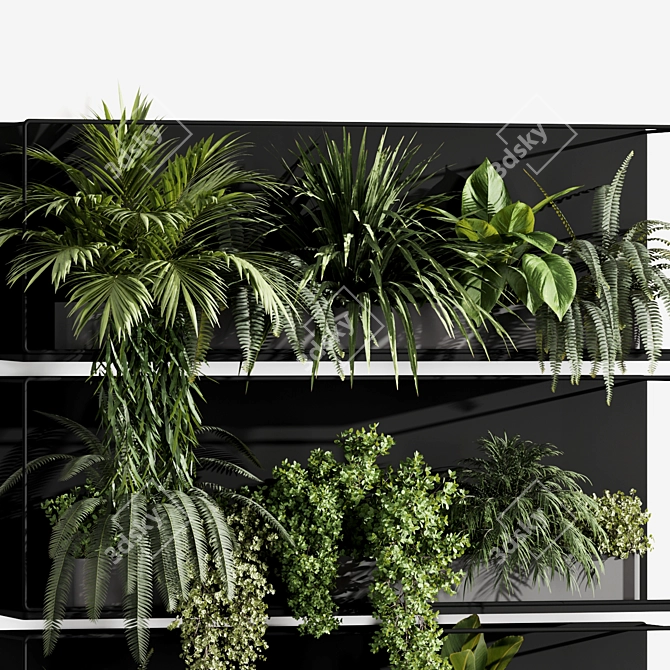 Premium Indoor Hanging Plant Set 3D model image 4