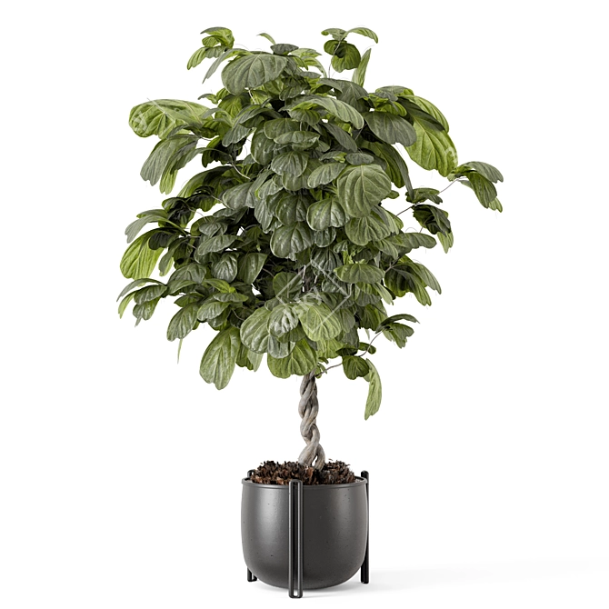 Handmade Metal Pot Indoor Plants 3D model image 4