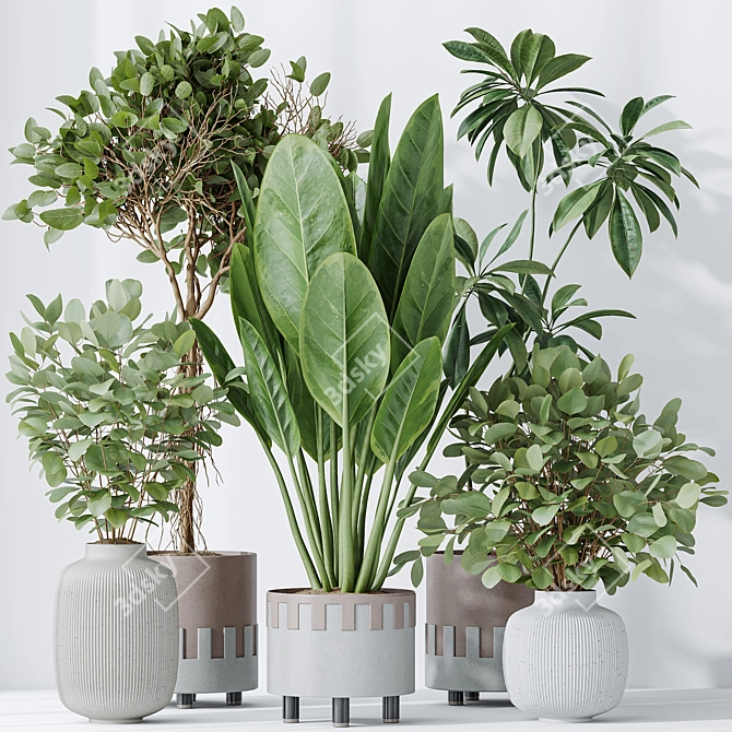 Indoor Plants Set 3D Models 3D model image 2