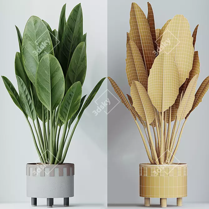 Indoor Plants Set 3D Models 3D model image 6