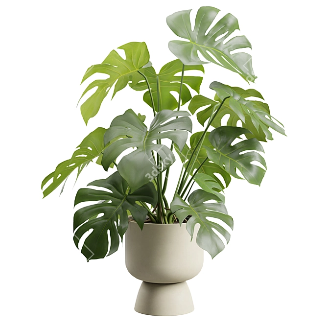 Tropical Monstera Deliciosa Beige Planter 3D model image 5