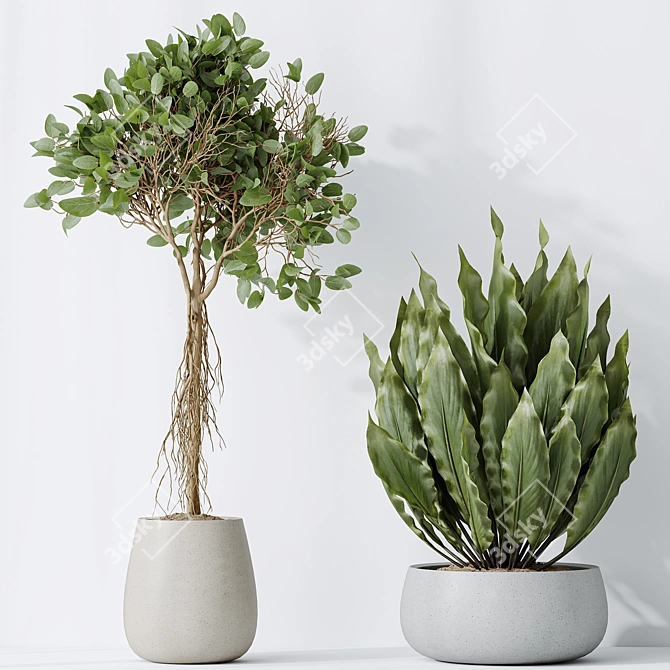 5 Indoor Plant 3D Models 3D model image 4