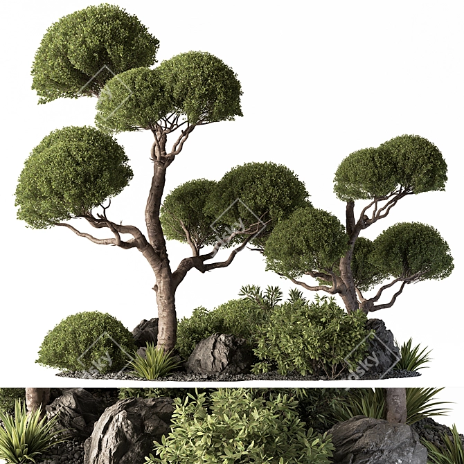 Outdoor Garden Plants Variety for You 3D model image 1