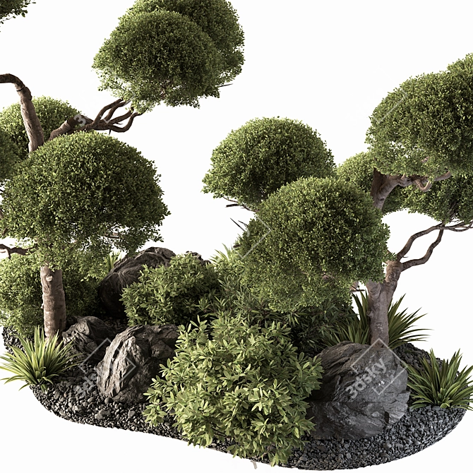 Outdoor Garden Plants Variety for You 3D model image 2