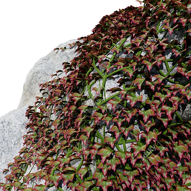 Virginia Creeper Ivy Rock 3D 3D model image 3