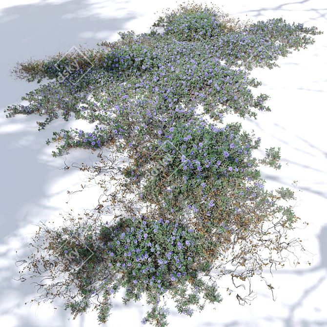 Twin Flowering Creeper Plants 3D model image 2