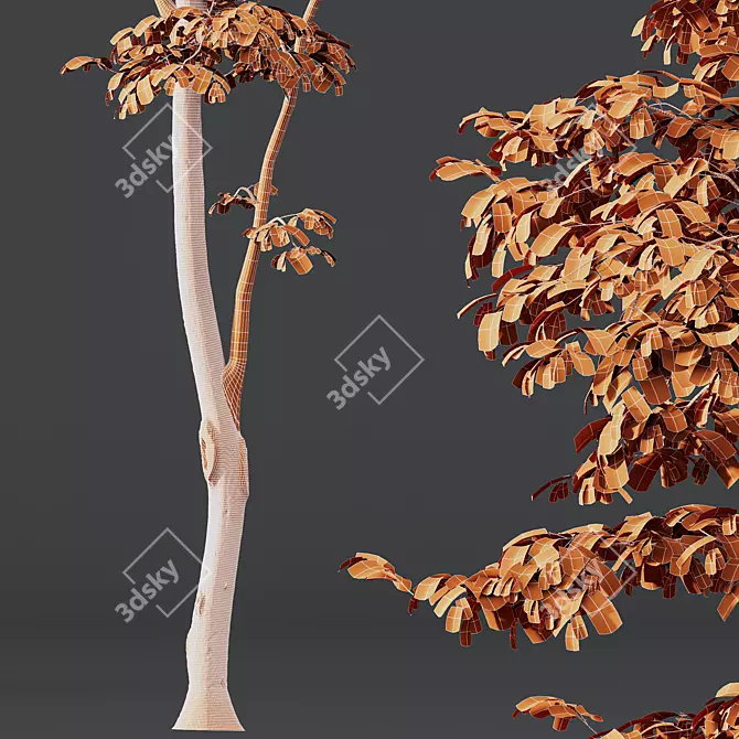 3D Summer Tree Model Collection 3D model image 6