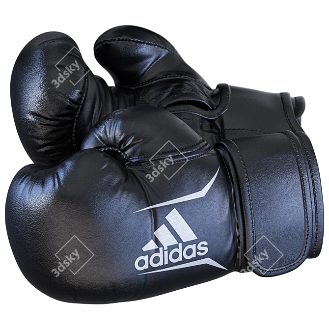 Rugged 2015 Boxing Set 3D model image 3