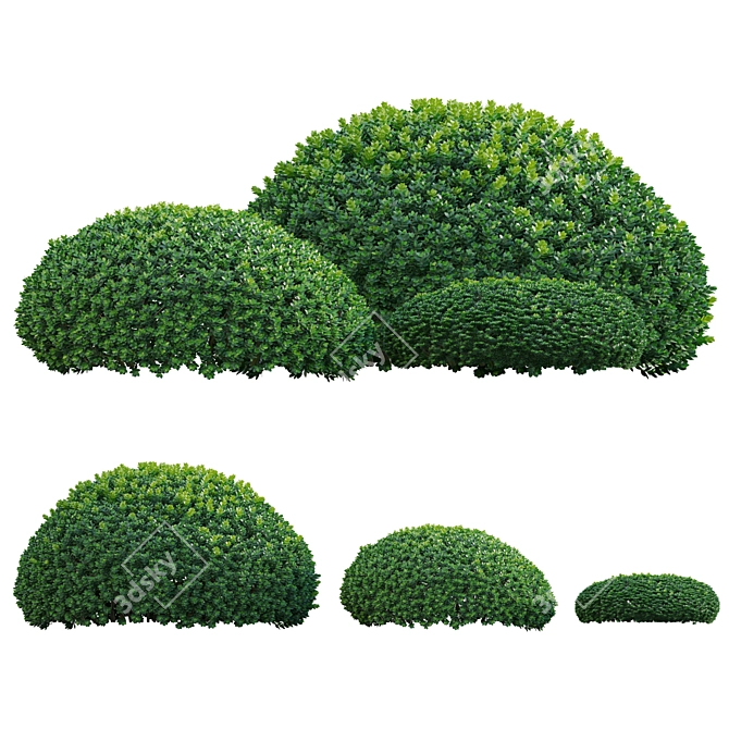 Diverse 3D Plant Models Kit 3D model image 1