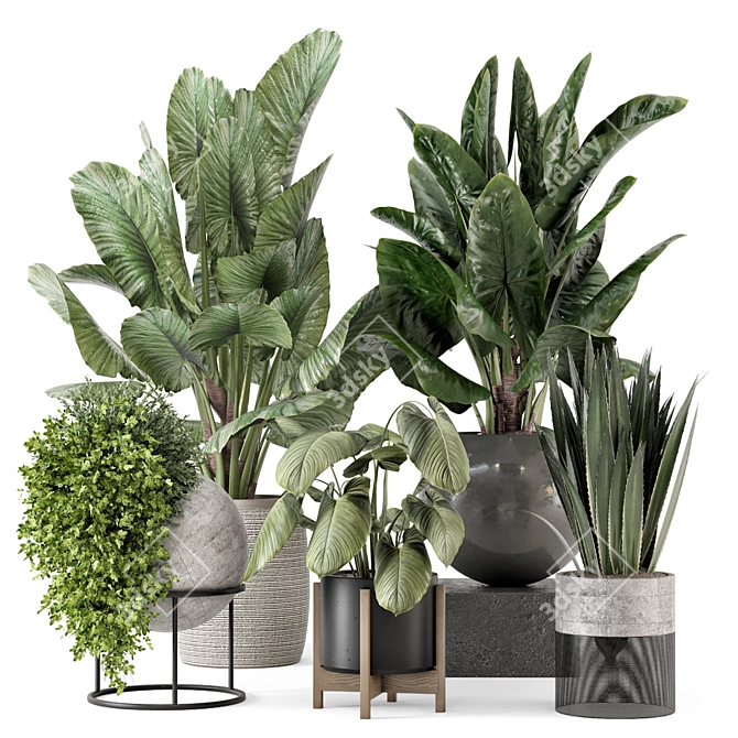 Modern Indoor Plants Set 2373 3D model image 1