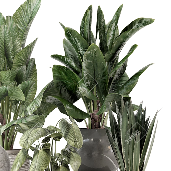 Modern Indoor Plants Set 2373 3D model image 3