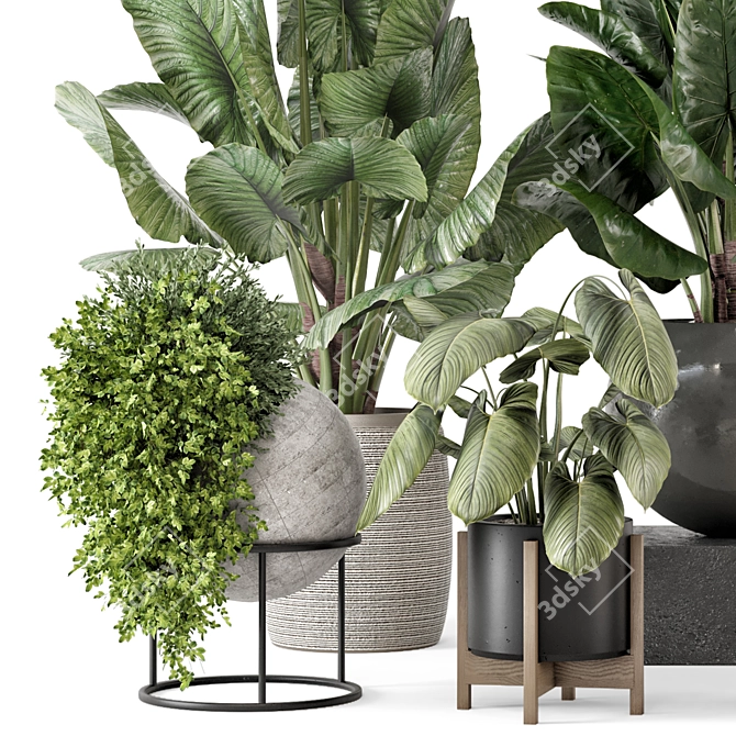 Modern Indoor Plants Set 2373 3D model image 4