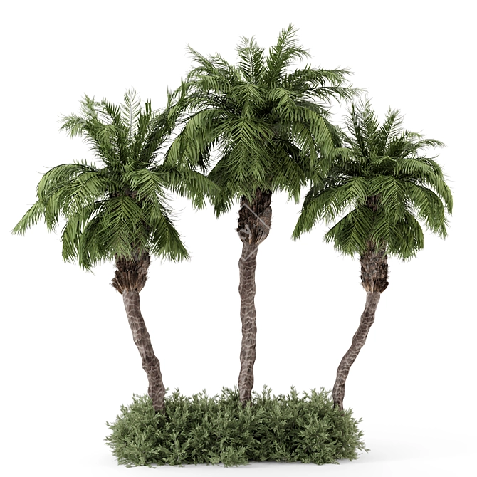 Palm Tree Plants Set 2378 3D model image 1