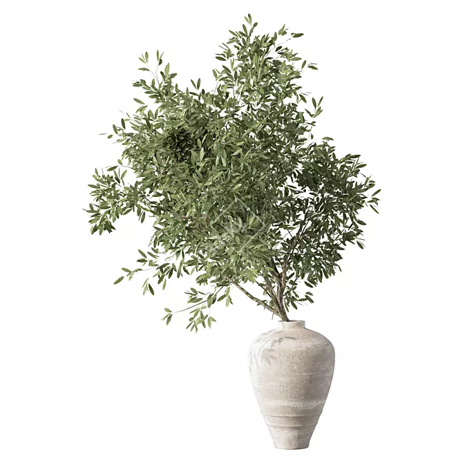 Olive Branch Bouquet Plant 3D model image 1