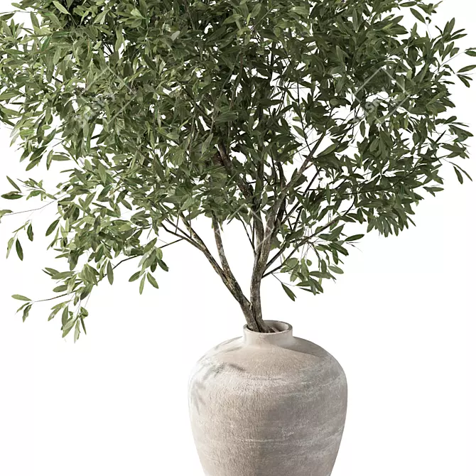 Olive Branch Bouquet Plant 3D model image 2