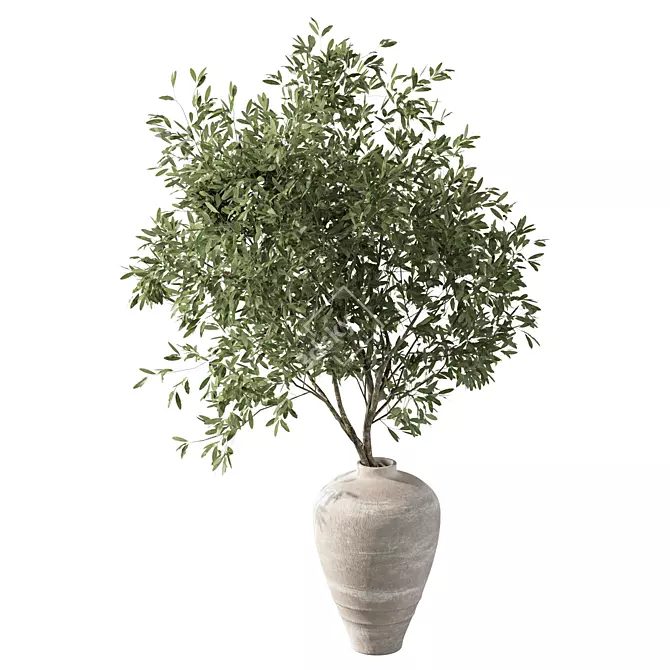 Olive Branch Bouquet Plant 3D model image 3