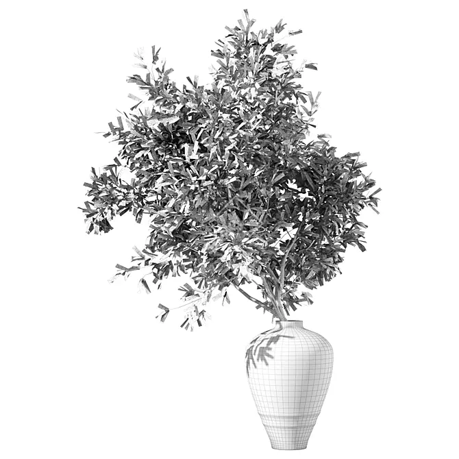 Olive Branch Bouquet Plant 3D model image 4