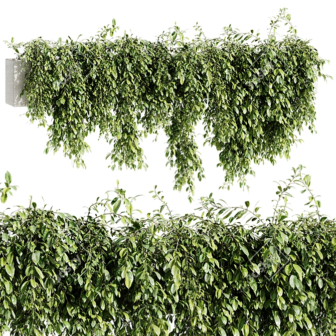 Outdoor Hanging Plant 2015 OBJ 3D model image 1