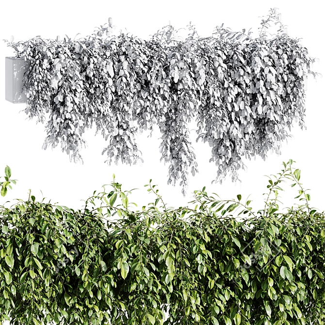 Outdoor Hanging Plant 2015 OBJ 3D model image 4