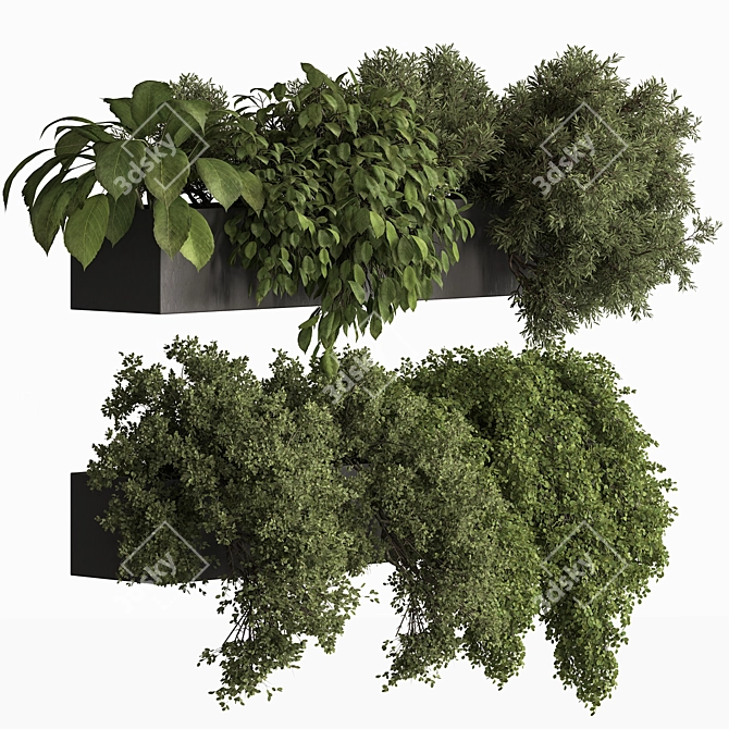 Hanging Indoor Plant 775 3D model image 1