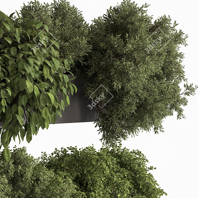 Hanging Indoor Plant 775 3D model image 3