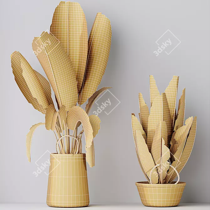 Tropical Bird of Paradise Set 3D model image 5