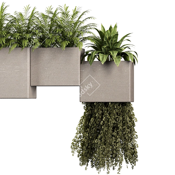 Indoor Plants Set 3D Models 3D model image 3