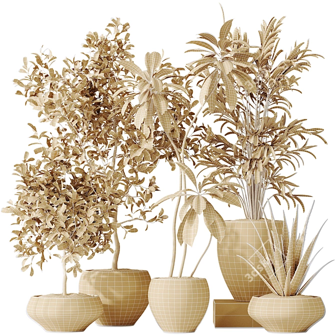 Indoor Plant Set 3D Models 3D model image 6