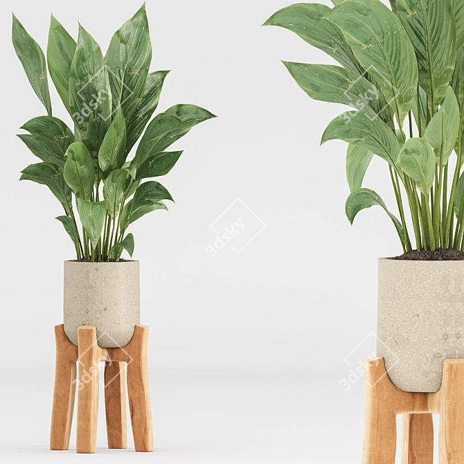 High-Quality Indoor Plant Set 3D model image 3