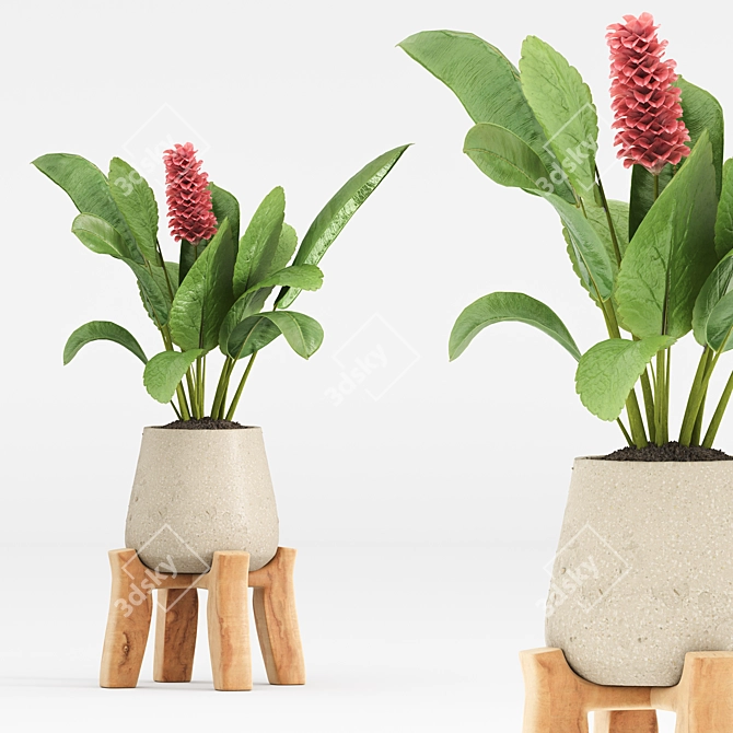 High-Quality Indoor Plant Set 3D model image 4