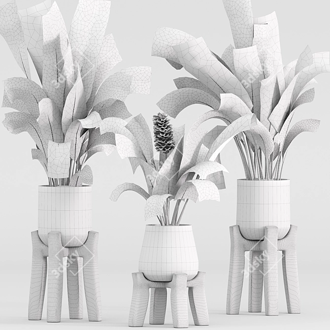 High-Quality Indoor Plant Set 3D model image 5