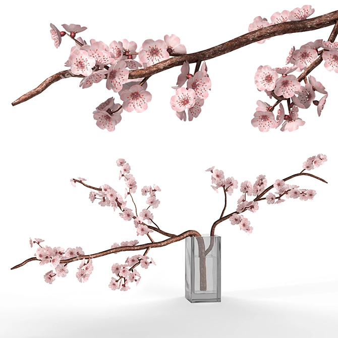 Sakura Blossom Branch Vase Decor 3D model image 1