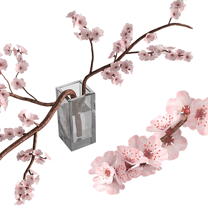 Sakura Blossom Branch Vase Decor 3D model image 3