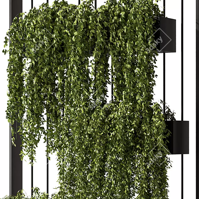 Urban Oasis Hanging Plant Set 3D model image 2