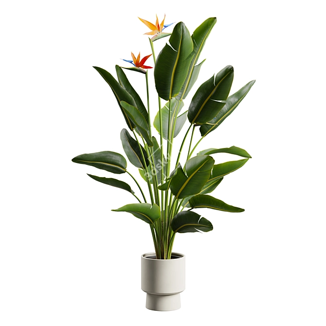 Tropical Elegance: Bird of Paradise 3D model image 6