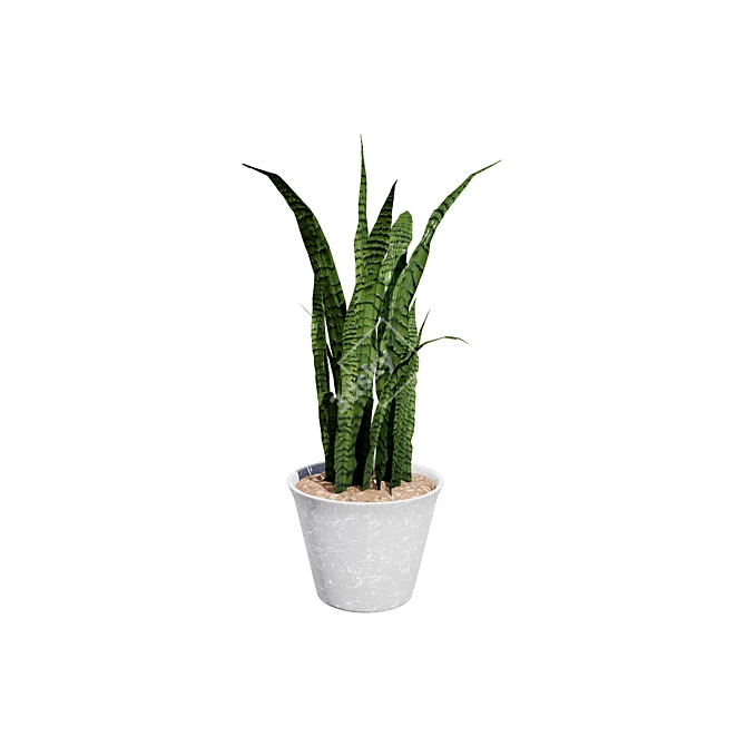 Snake Plant 3D Model .hex 3D model image 2