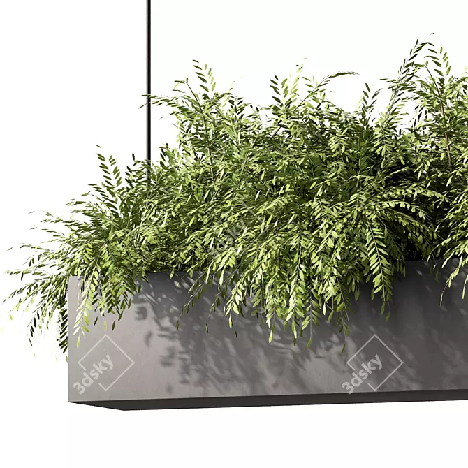 Modern Plant Hanging Trio Set 3D model image 3