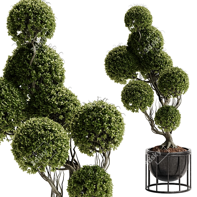 TurboSmooth Topiary Plant 30 3D model image 1