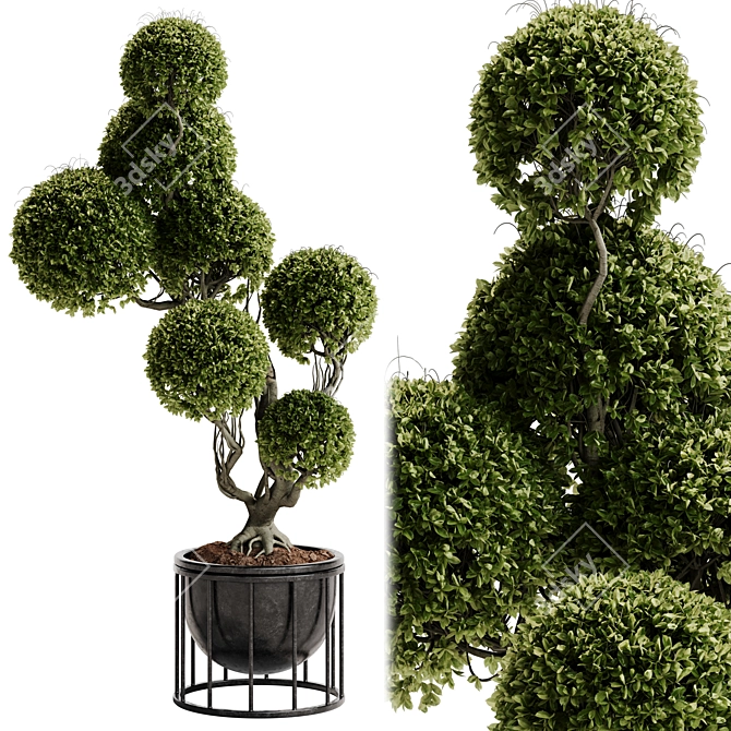 TurboSmooth Topiary Plant 30 3D model image 2