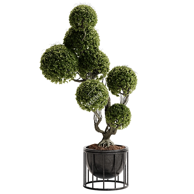 TurboSmooth Topiary Plant 30 3D model image 5