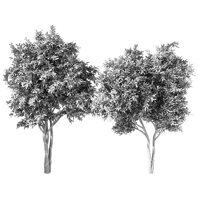 Russian Forest Tree No.124 3D model image 4