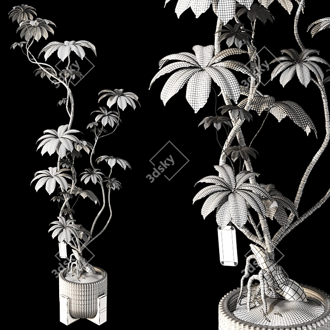 3D Model Ficus Tree Set 3D model image 6