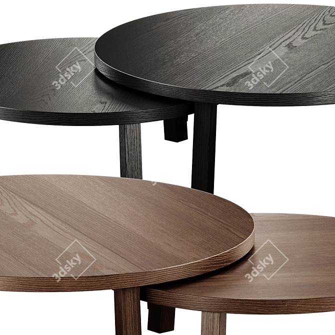 Round Wooden Leila Coffee Tables 3D model image 4